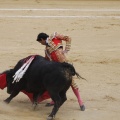 Castellón, Magdalena 2013