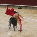 Castellón, Magdalena 2013