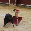 Castellón, Magdalena 2013