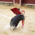 Castellón, Magdalena 2013