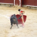 Castellón, Magdalena 2013