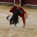 Castellón, Magdalena 2013
