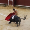 Castellón, Magdalena 2013