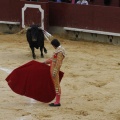 Castellón, Magdalena 2013