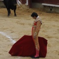 Castellón, Magdalena 2013