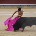 Castellón, Magdalena 2013