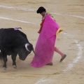 Castellón, Magdalena 2013