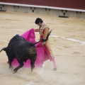 Castellón, Magdalena 2013