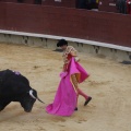 Castellón, Magdalena 2013