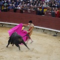 Castellón, Magdalena 2013