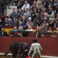Castellón, Magdalena 2013