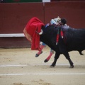 Castellón, Magdalena 2013