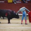 Castellón, Magdalena 2013