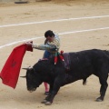 Castellón, Magdalena 2013