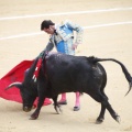 Castellón, Magdalena 2013