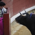 Castellón, Magdalena 2013