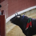 Castellón, Magdalena 2013