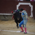 Castellón, Magdalena 2013