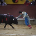 Castellón, Magdalena 2013