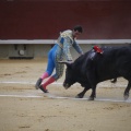 Castellón, Magdalena 2013
