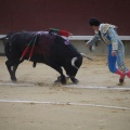 Castellón, Magdalena 2013