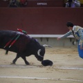 Castellón, Magdalena 2013