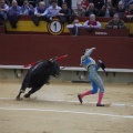 Castellón, Magdalena 2013