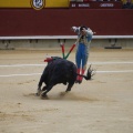 Castellón, Magdalena 2013