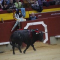Castellón, Magdalena 2013