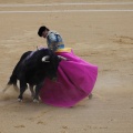 Castellón, Magdalena 2013