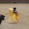 Castellón, Magdalena 2013