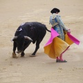 Castellón, Magdalena 2013