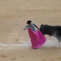 Castellón, Magdalena 2013
