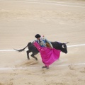 Castellón, Magdalena 2013