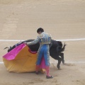 Castellón, Magdalena 2013