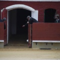 Castellón, Magdalena 2013