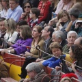 Castellón, Magdalena 2013