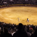 Castellón, Magdalena 2013