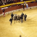 Castellón, Magdalena 2013