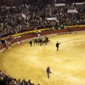 Castellón, Magdalena 2013