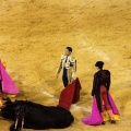 Castellón, Magdalena 2013