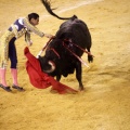 Castellón, Magdalena 2013