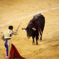 Castellón, Magdalena 2013