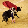 Castellón, Magdalena 2013