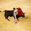 Castellón, Magdalena 2013