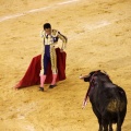 Castellón, Magdalena 2013