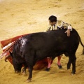Castellón, Magdalena 2013
