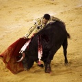 Castellón, Magdalena 2013