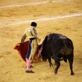 Castellón, Magdalena 2013