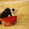 Castellón, Magdalena 2013